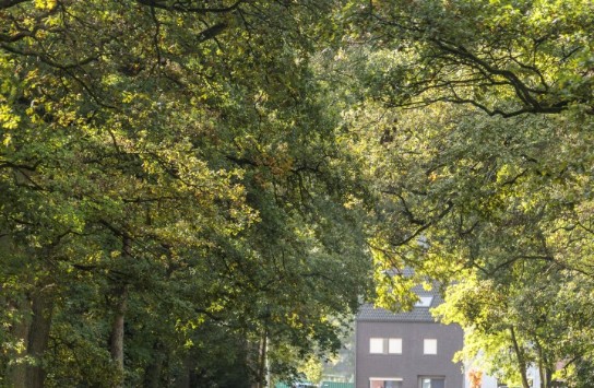  (vergroot foto)
