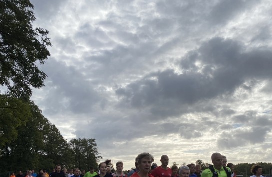  (vergroot foto)