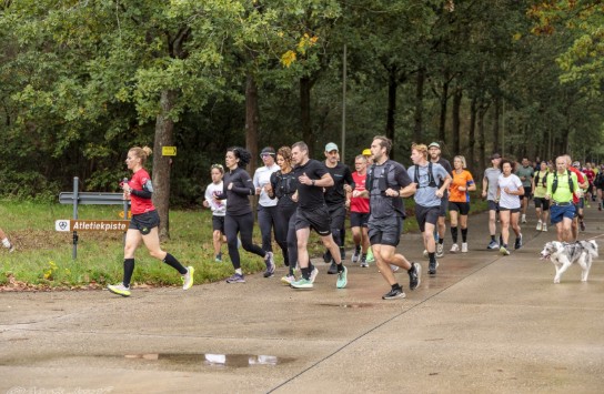  (vergroot foto)