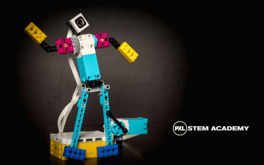 Lego figuurtje (vergroot foto)